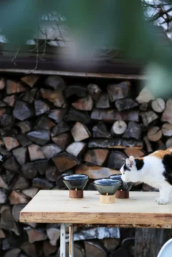 Brokis Muffins Theelicht Rookgrijs - Zwart Eiken -Flinders x886x886 brokis muffins theelichthouder20.jpg.pagespeed.ic .qTsNdxu3Tc 1