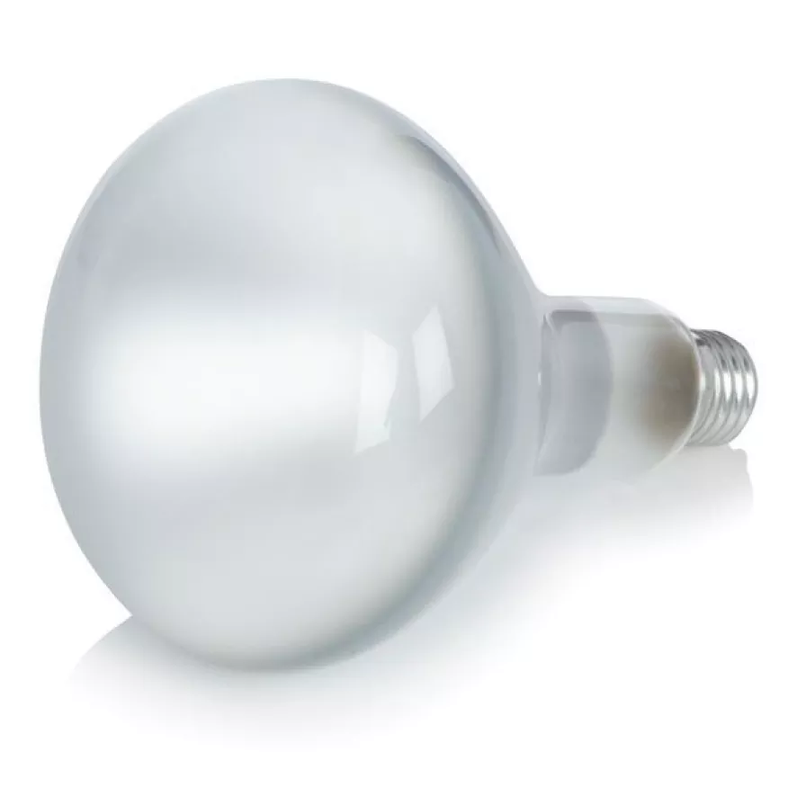 Flos Parentesi Hanglamp Niet Dimbaar Ø11 Rood 13 Flos Parentesi Hanglamp Niet Dimbaar Ø11 Rood - Afbeelding 11