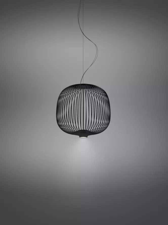 Foscarini Spokes 2 Piccola Hanglamp Ø34 LED Niet Dimbaar Grafiet 8 Foscarini Spokes 2 Piccola Hanglamp Ø34 LED Niet Dimbaar Grafiet - Afbeelding 6