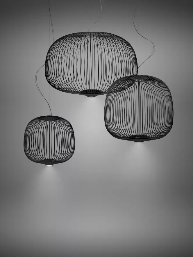 Foscarini Spokes 2 Piccola Hanglamp Ø34 LED Niet Dimbaar Grafiet 11 Foscarini Spokes 2 Piccola Hanglamp Ø34 LED Niet Dimbaar Grafiet - Afbeelding 9