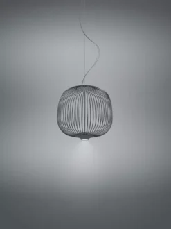 Foscarini Spokes 2 Piccola Hanglamp Ø34 LED Niet Dimbaar Grafiet 18 Foscarini Spokes 2 Piccola Hanglamp Ø34 LED Niet Dimbaar Grafiet -Flinders x886x886 foscarini spokes 2 piccola hanglamp led dimbaar9.jpg.pagespeed.ic .yFv0VkjSh7