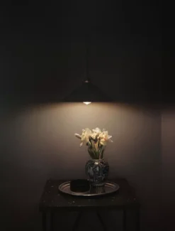 Frama Cone Shade Hanglamp Ø25 Small Koper -Flinders x886x886 frama cone shade hanglamp medium9.jpg.pagespeed.ic .JV D6Dbk8Q