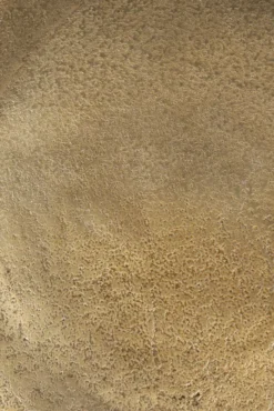 Livingstone Design Tray Dienblad L Messing 24 Livingstone Design Tray Dienblad L Messing -Flinders x886x886 livingstone design tray dienblad l6.jpg.pagespeed.ic .D17Ajo3Zyn