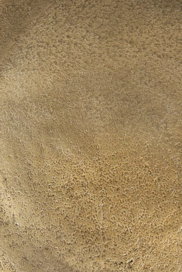 Livingstone Design Tray Dienblad L Messing 11 Livingstone Design Tray Dienblad L Messing - Afbeelding 9