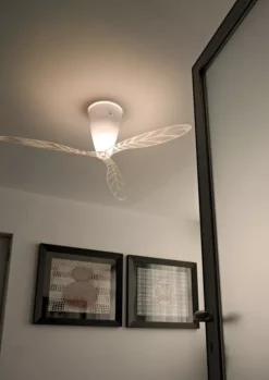 Luceplan Blow Plafondlamp Transparant 18 Luceplan Blow Plafondlamp Transparant -Flinders x886x886 luceplan blow plafondlamp sfeer3.jpg.pagespeed.ic .YhM8q9Zb11