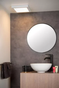 Lucide Brice 30 Plafondlamp LED Badkamer IP44 Vierkant Zwart 12 Lucide Brice 30 Plafondlamp LED Badkamer IP44 Vierkant Zwart -Flinders x886x886 lucide brice plafondlamp led large6.jpg.pagespeed.ic .z5JCeEli7r