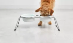 MiaCara Cena Hondenvoerbak Porselein Small -Flinders x886x886 miacara arco hondenvoerbak wand porselein medium large grey1.jpg.pagespeed.ic .olZUFGjpni