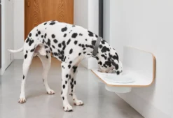 MiaCara Arco Hondenvoerbak Wand Porselein Small/medium White -Flinders x886x886 miacara arco hondenvoerbak wand porselein small medium2.jpg.pagespeed.ic .9UyXaA0ZoP