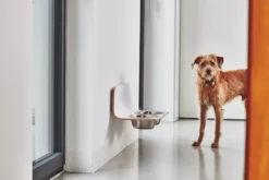 MiaCara Arco Hondenvoerbak Wand Medium/large Grijs -Flinders x886x886 miacara arco hondenvoerbak wand3.jpg.pagespeed.ic .ybd NyJ9nh 1