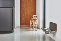 MiaCara Arco Hondenvoerbak Wand Medium/large Grijs -Flinders x886x886 miacara arco hondenvoerbak wand4.jpg.pagespeed.ic .9DwEL37U2 1