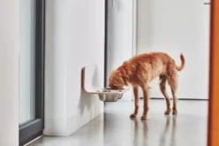 MiaCara Arco Hondenvoerbak Wand Medium/large Grijs -Flinders x886x886 miacara arco hondenvoerbak wand7.jpg.pagespeed.ic .jXKAlx6rHo 1