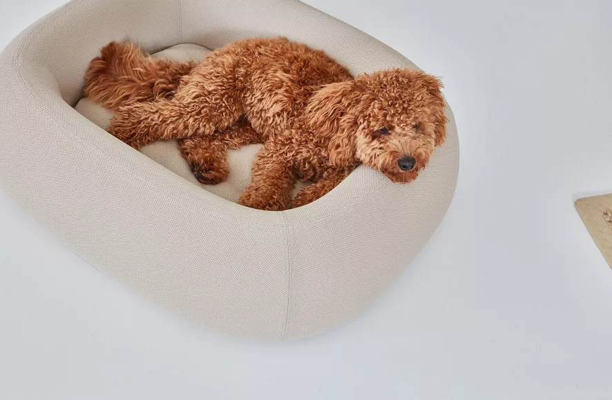 MiaCara Barca Hondenmand Small/medium Taupe 8 MiaCara Barca Hondenmand Small/medium Taupe - Afbeelding 6