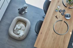 MiaCara Barca Hondenmand Medium/large Taupe -Flinders x886x886 miacara barca hondenmand medium large14.jpg.pagespeed.ic .8Xr8X7tvcd