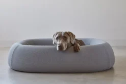 MiaCara Barca Hondenmand Small/medium Slate -Flinders x886x886 miacara barca hondenmand medium large6.jpg.pagespeed.ic .4p zq FMM2 2