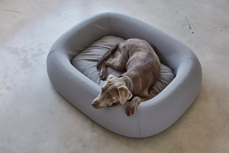 MiaCara Barca Hondenmand Small/medium Taupe 9 MiaCara Barca Hondenmand Small/medium Taupe - Afbeelding 7