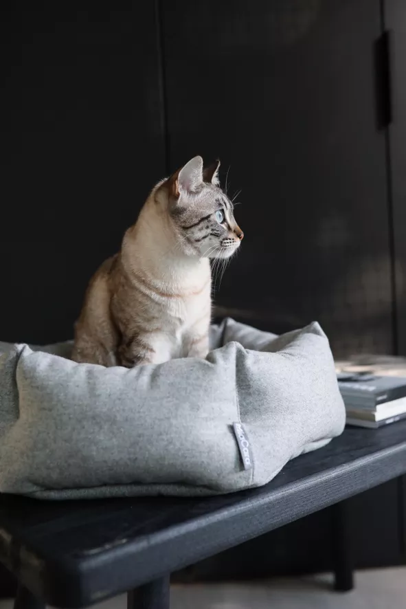 MiaCara Calma Kattenmand Ø45 Donkergrijs 4 MiaCara Calma Kattenmand Ø45 Donkergrijs - Afbeelding 2