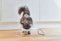 MiaCara Cena Kattenvoerbak Porselein -Flinders x886x886 miacara cena kattenvoerbak porselein1.jpg.pagespeed.ic .x3 kmZHepR