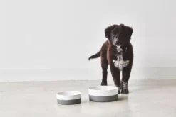 MiaCara Coppa Hondenvoerbak Medium/large Ø21.5 Slate -Flinders x886x886 miacara coppa hondenvoerbak medium large.jpg.pagespeed.ic .ga3wGkeSBU