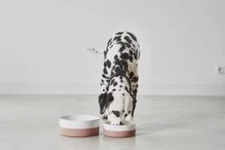 MiaCara Coppa Hondenvoerbak Medium/large Ø21.5 Slate -Flinders x886x886 miacara coppa hondenvoerbak medium large4.jpg.pagespeed.ic .aqLXs 1BYX