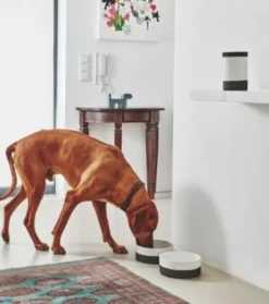 MiaCara Coppa Voorraadpot Slate 12 MiaCara Coppa Voorraadpot Slate -Flinders x886x886 miacara coppa voorraadpot5.jpg.pagespeed.ic .WHiTrOE69s