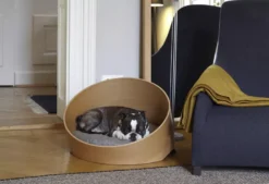 MiaCara Covo Hondenmand Ø60 Essen, Kussen Ivory 14 MiaCara Covo Hondenmand Ø60 Essen, Kussen Ivory -Flinders x886x886 miacara covo hondenmand small.jpeg.pagespeed.ic .ju2fP3 4qd