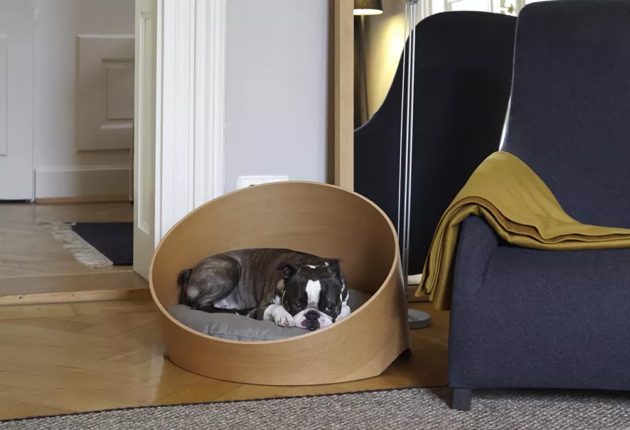 MiaCara Covo Hondenmand Ø60 Essen, Kussen Ivory 8 MiaCara Covo Hondenmand Ø60 Essen, Kussen Ivory - Afbeelding 6