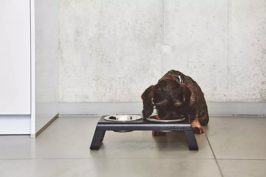 MiaCara Desco Hondenvoerbak Medium Essen Naturel 5 MiaCara Desco Hondenvoerbak Medium Essen Naturel - Afbeelding 3