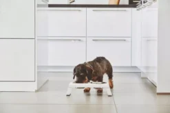 MiaCara Desco Hondenvoerbak Medium Essen Naturel 22 MiaCara Desco Hondenvoerbak Medium Essen Naturel -Flinders x886x886 miacara desco hondenvoerbak medium24.jpg.pagespeed.ic .aUY84Z4sB 4