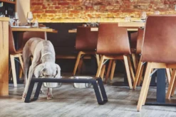 MiaCara Desco Hondenvoerbak Medium Essen Naturel 23 MiaCara Desco Hondenvoerbak Medium Essen Naturel -Flinders x886x886 miacara desco hondenvoerbak medium25.jpg.pagespeed.ic .j3pooza1mJ 2