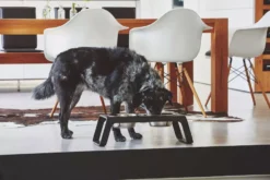 MiaCara Desco Hondenvoerbak Medium Essen Grijs -Flinders x886x886 miacara desco hondenvoerbak medium26.jpg.pagespeed.ic .IFqqhlCQZt 1