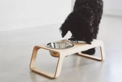 MiaCara Desco Hondenvoerbak Medium Essen Grijs -Flinders x886x886 miacara desco hondenvoerbak medium28.jpg.pagespeed.ic . R9ZwlTrx 1