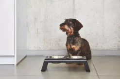 MiaCara Desco Hondenvoerbak Medium Essen Grijs -Flinders x886x886 miacara desco hondenvoerbak medium34.jpg.pagespeed.ic .1Ds QXa7yc 5