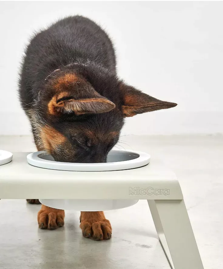 MiaCara Desco Hondenvoerbak Porselein Medium Walnoot 6 MiaCara Desco Hondenvoerbak Porselein Medium Walnoot - Afbeelding 4