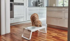 MiaCara Desco Hondenvoerbak Porselein Medium Walnoot 12 MiaCara Desco Hondenvoerbak Porselein Medium Walnoot -Flinders x886x886 miacara desco hondenvoerbak porselein small11.jpg.pagespeed.ic .hjPOMS Fdl 2