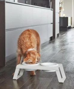 MiaCara Desco Hondenvoerbak Porselein Medium Wit -Flinders x886x886 miacara desco hondenvoerbak porselein small13.jpg.pagespeed.ic .oUbyeaamyF 1