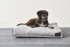 MiaCara Divo Hondenkussen Medium Mocca 13 MiaCara Divo Hondenkussen Medium Mocca -Flinders x886x886 miacara divo hondenkussen small.jpg.pagespeed.ic .VE 6keVMre 1