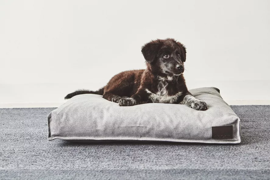 MiaCara Divo Hondenkussen Medium Mocca 5 MiaCara Divo Hondenkussen Medium Mocca - Afbeelding 3