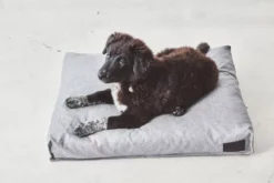 MiaCara Divo Hondenkussen Medium Mocca 14 MiaCara Divo Hondenkussen Medium Mocca -Flinders x886x886 miacara divo hondenkussen small1.jpg.pagespeed.ic .YQ89j5Z2A8 1