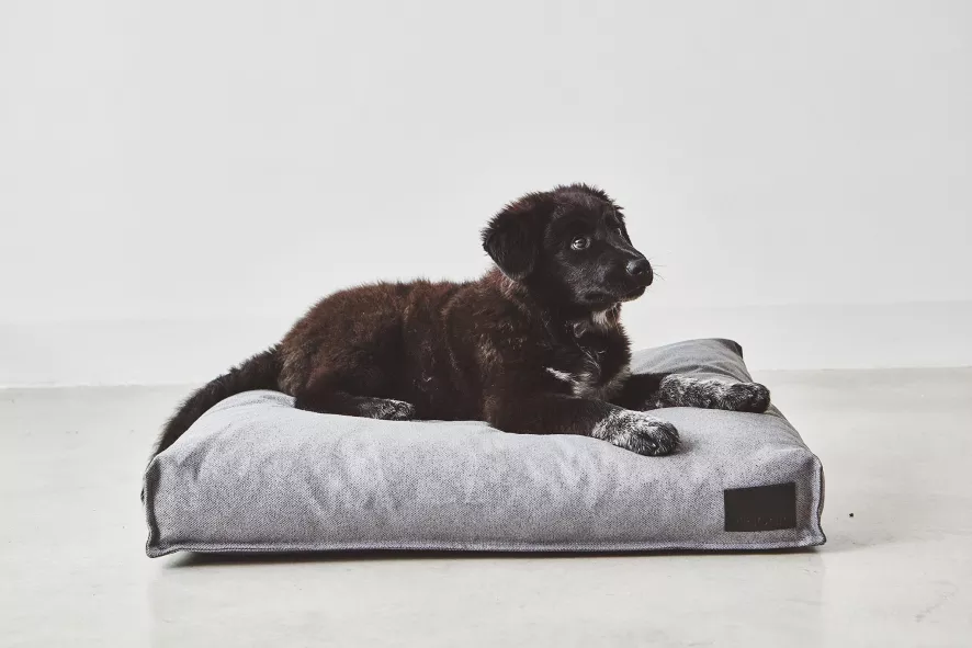 MiaCara Divo Hondenkussen Medium Mocca 7 MiaCara Divo Hondenkussen Medium Mocca - Afbeelding 5