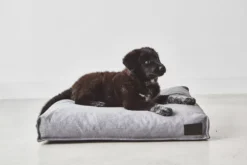 MiaCara Divo Hondenkussen Small Pebble -Flinders x886x886 miacara divo hondenkussen small2.jpg.pagespeed.ic .S5alnara7G