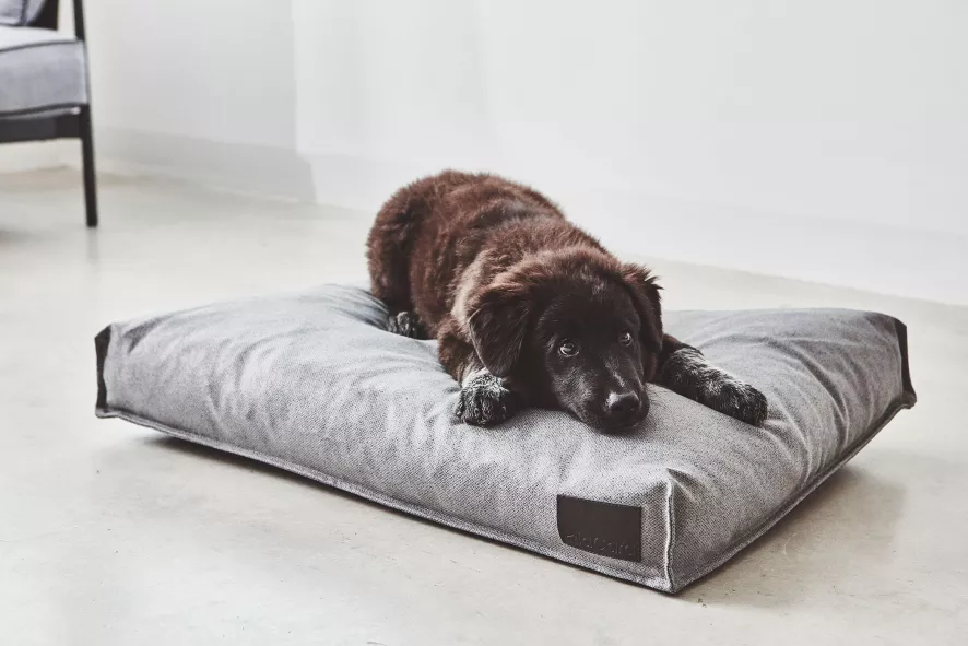 MiaCara Divo Hondenkussen Medium Mocca 8 MiaCara Divo Hondenkussen Medium Mocca - Afbeelding 6