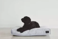 MiaCara Divo Hondenkussen Medium Mocca 19 MiaCara Divo Hondenkussen Medium Mocca -Flinders x886x886 miacara divo hondenkussen small5.jpg.pagespeed.ic .sUtZW6R9mS