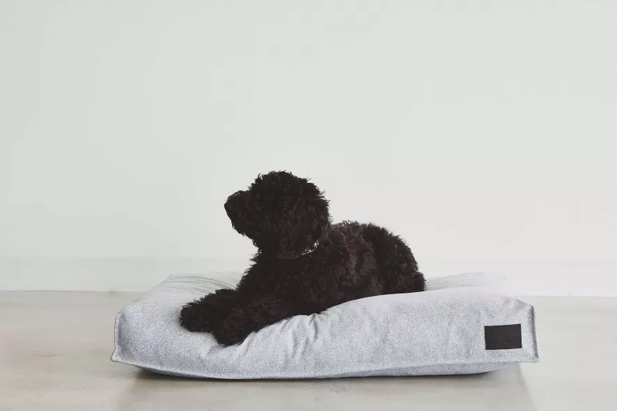 MiaCara Divo Hondenkussen Medium Mocca 11 MiaCara Divo Hondenkussen Medium Mocca - Afbeelding 9