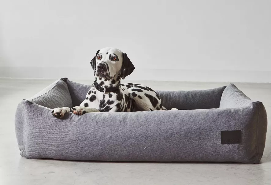 MiaCara Divo Hondenmand Medium Slate 6 MiaCara Divo Hondenmand Medium Slate - Afbeelding 4