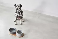 MiaCara Doppio Hondenvoerbak Small Berry -Flinders x886x886 miacara doppio hondenvoerbak met blad small2.jpg.pagespeed.ic .tUs uRjTaH