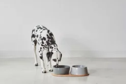 MiaCara Doppio Hondenvoerbak Small Berry -Flinders x886x886 miacara doppio hondenvoerbak met blad small4.jpg.pagespeed.ic .k5EHvUDsAI