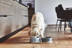 MiaCara Doppio Hondenvoerbak Small Berry -Flinders x886x886 miacara doppio hondenvoerbak met blad small5.jpg.pagespeed.ic .HcMPezkce3