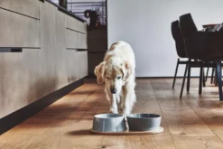 MiaCara Doppio Hondenvoerbak Small Berry -Flinders x886x886 miacara doppio hondenvoerbak met blad small6.jpg.pagespeed.ic .VrybShbAqK