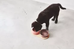 MiaCara Doppio Hondenvoerbak Small Berry -Flinders x886x886 miacara doppio hondenvoerbak met blad small7.jpg.pagespeed.ic .PAdqRx0uvZ