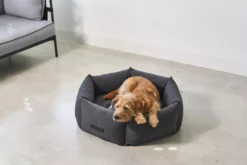 MiaCara Felice Hondenmand Ø80 Medium Sand 18 MiaCara Felice Hondenmand Ø80 Medium Sand -Flinders x886x886 miacara felice hondenmand large10.jpg.pagespeed.ic .lJIDxlchu0